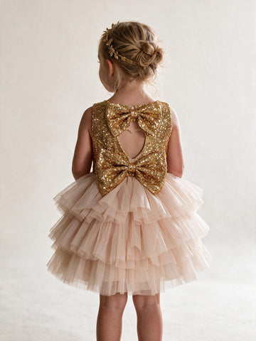 Pink Tulle Ball Gown Sequin Flower Girl Dress ACH133