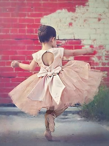 Pink Toddler Ball Gowns ACH110