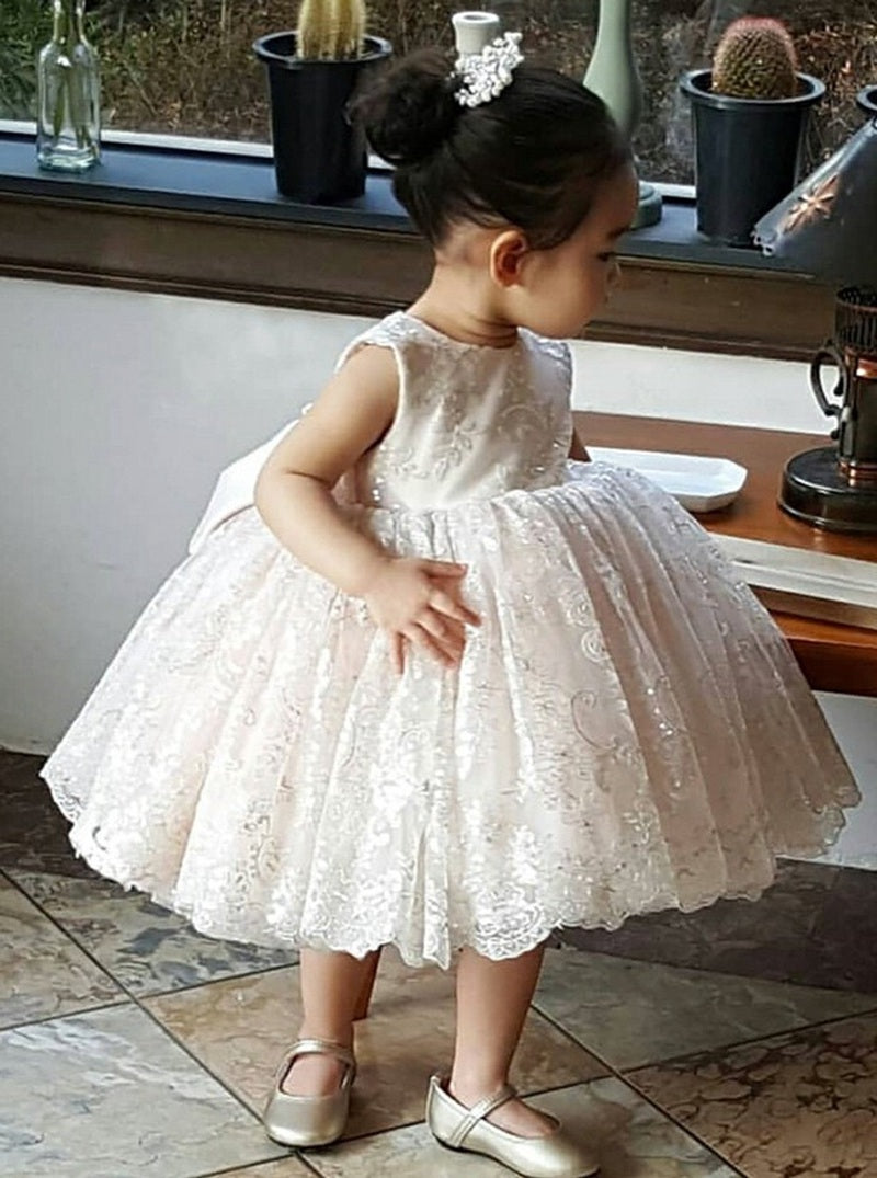 Ball Gown Toddler Pink Lace Girl Dress ACH139