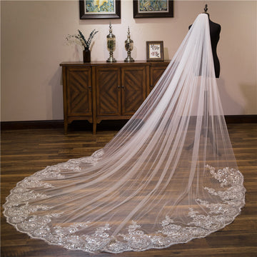 Sweep Train Lace Beading Wedding Veil 3M VE016