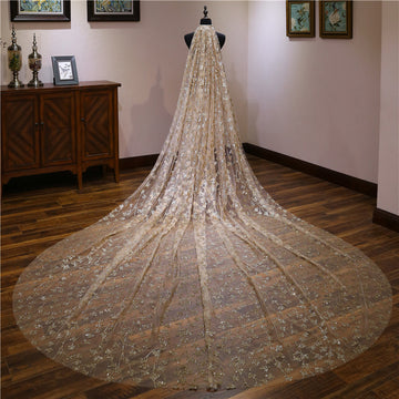 Sweep Train Long Lace Wedding Veil with Pearls 3M VE020