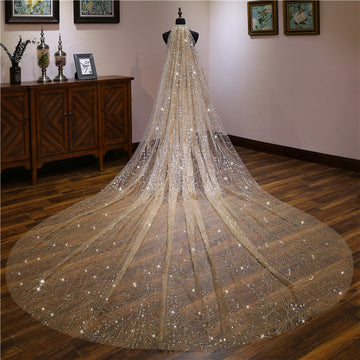 Sweep Train Long Champagne Wedding Veil 3.5Mx3M VE022